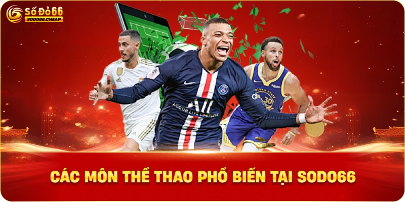 Các môn thể thao phổ biến tại Sodo66